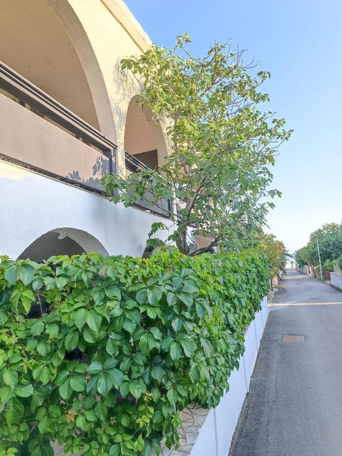 Apartments Branka- 4 Apartments In House- 1 Apartment Has Jacuzzi Vir Exterior foto
